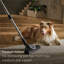 Miele Guard L1 Cat & Dog Bagged Canister Vacuum for Pet Owners with Odor-Reducing Active AirClean Filter, TurboTeQ Floorhead, and AllTeQ Universal Floorhead, in Obsidian Black/Space Grey