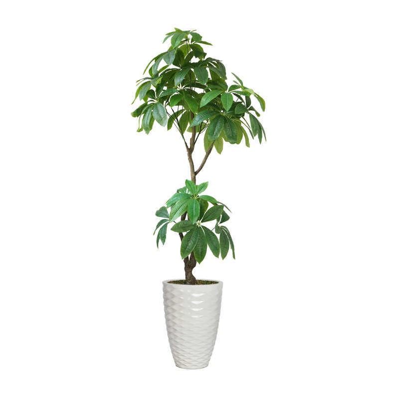 Pachira aquatica artificiel 82,9 po en pot