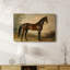 Animaux, paysage, série CXCVI-1591423853