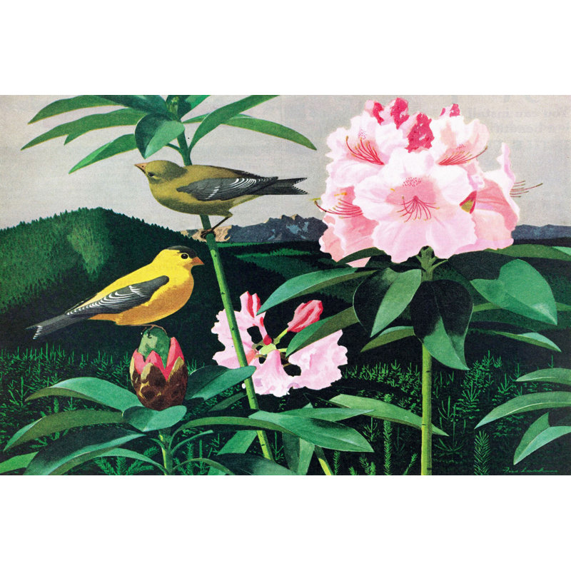 « goldfinch », reproduction d’art sur toile tendue, H 12 po x l 18 po x P 1,5 po