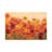" Summer Poppies " by Silvia Vassileva-52529994-52529995