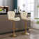 Bar & Counter Stool (Set of 2)