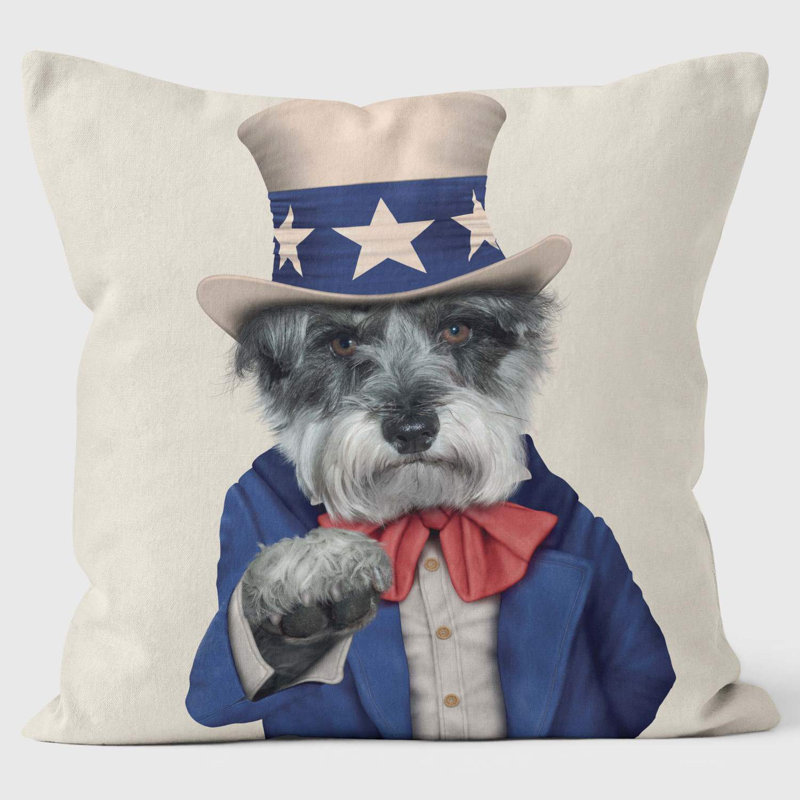 Uncle Sam - Pets Rock Cushion