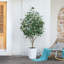 Ficus artificiel George, verdure artificielle protégée contre les rayons UV avec une énorme base décorative pour l'intérieur et l'extérieur-2074737957-2074737956