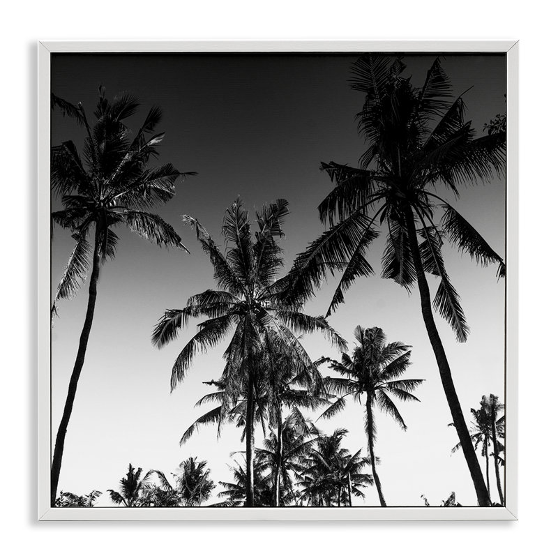 Giclée encadrée Palm Sunset Stark Contrast, design par Danita Delimont, H 12 po x l 12 po