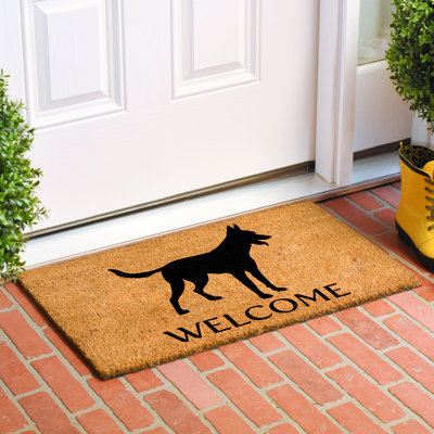 Non-Slip Indoor Doormat