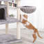 152cm H Cat Tree-515681126