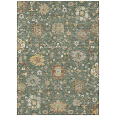 Machine Washable Indoor/Outdoor Chantille ACN2930 Global Rug