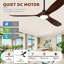 Ceiling Fan with LED Lights-1192076299-1185624559
