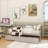 Twin-Size Pine Wood Daybed With Two Storage Drawers, Sofa Bed With Bed Platform Of 10 Support Slats,-1038426656
