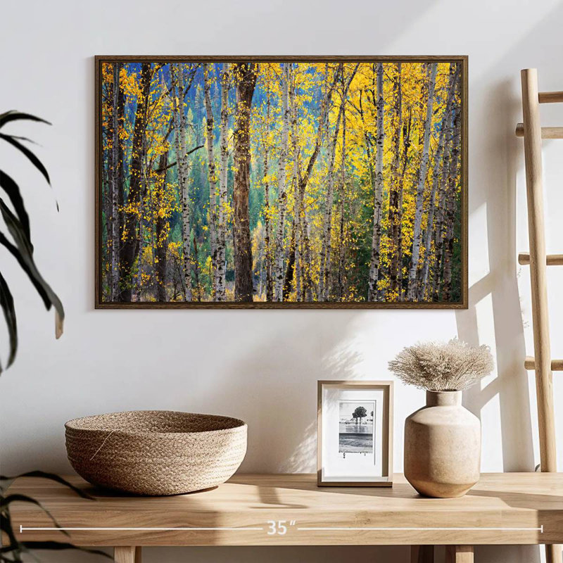 Kootenay Fall II, 25 po x 17 po, Cadre flottant en noyer