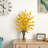 Orchid Arrangement-1239110144