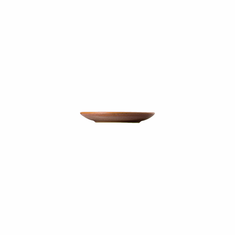 Thomas Clay Stoneware Saucer, Earth