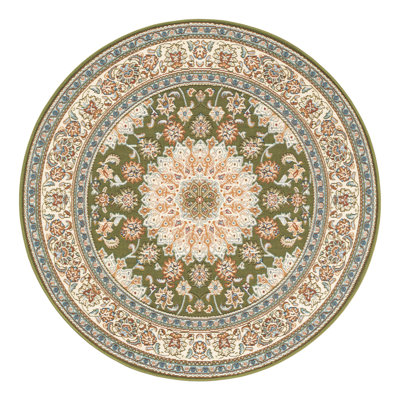 Indoor/Outdoor Traditional Area Rug