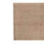 Oriental Area Rug