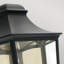 Bryden Black 26cm H Outdoor Flush Mount