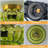 Junathean 3-Light Glass Flush Mount Ceiling Light-2146825133-2146825131