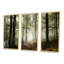 «Light In Dense Fall Forest With Fog», ensemble d'art mural sur toile encadré paysage-920003548-920003551