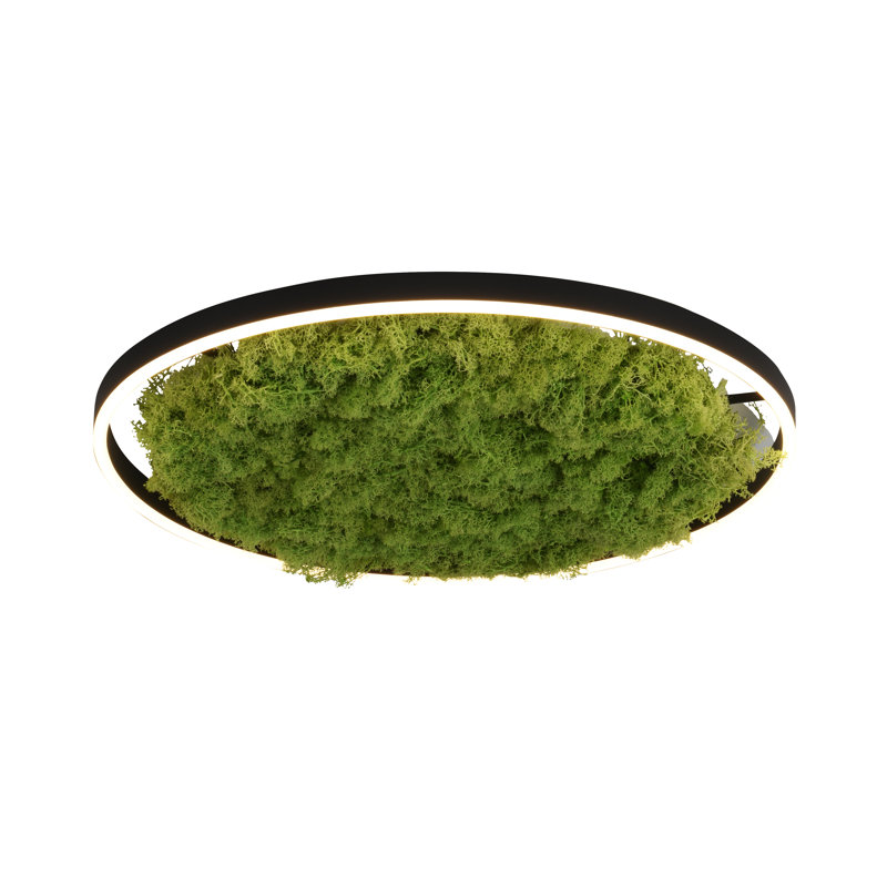 5-Light 35cm Flush Mount