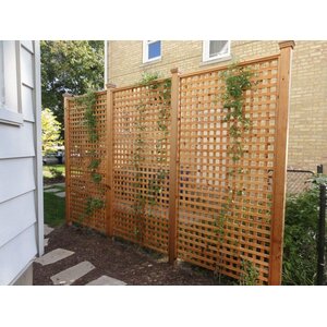 Beachcrest Home Jalissa Wood Lattice Panel Trellis & Reviews | Wayfair