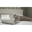 Coan Nest Pet Bed