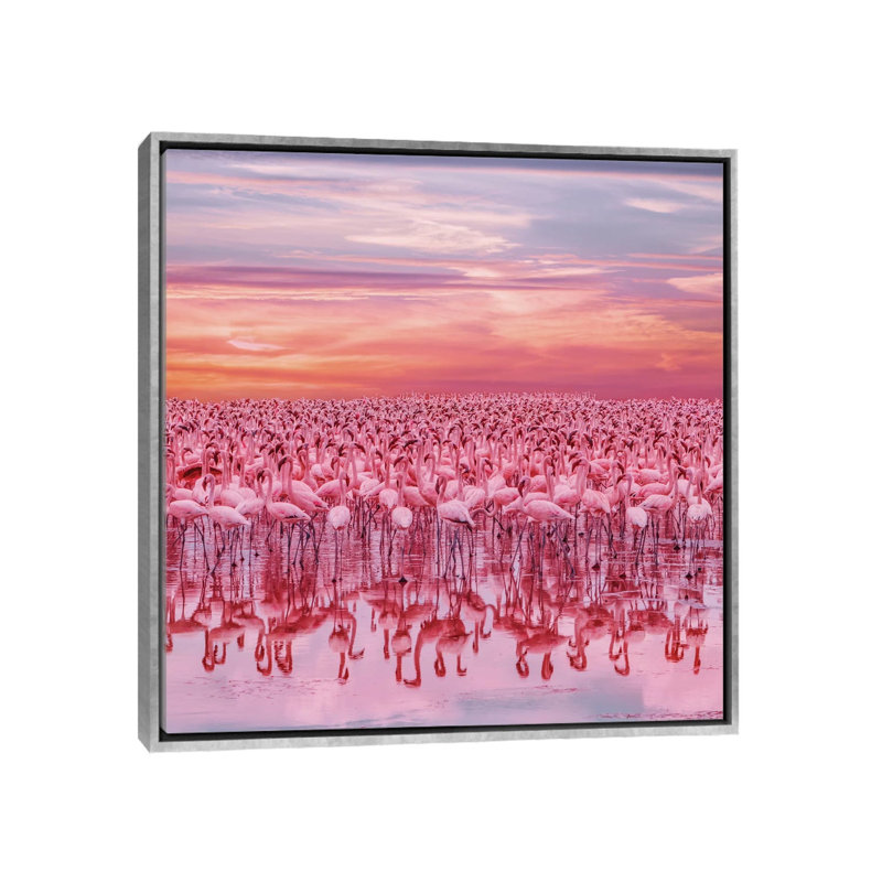 «Flamingo? S Sunset» par Hobopeeba - reproduction d'art, H 26 po x l 26 po x P 1,5 po, Toile avec cadre argenté, Pas de tapis