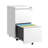 2 Drawer Metal  Mobile File Cabinet, Rolling File Cabinet With Lock For Hanging Legal/Letter/A4 Size,Fully Assembled Except Wheels-121118499