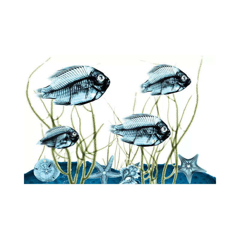 Aquatic Home I by Albert Koetsier - Print on Canvas, Wrapped Canvas, 45.72cm H x 66.04cm W x 1.91cm D