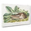 Black-Tailed Hare by J.W. Audubon - Wrapped Canvas-55371614