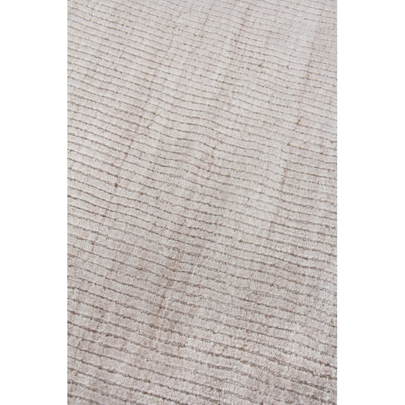 Robin Area Rug in Light Beige, Rectangle 12' x 15'
