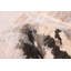 Tapis gris Legacy 5 pi 8 po x 7 pi 11 po