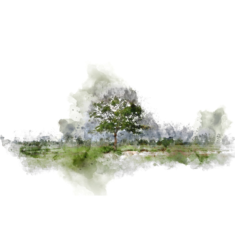 Abstract Tree by Punnarong - Wrapped Canvas Print, 61cm H x 91cm W x 3.8cm D