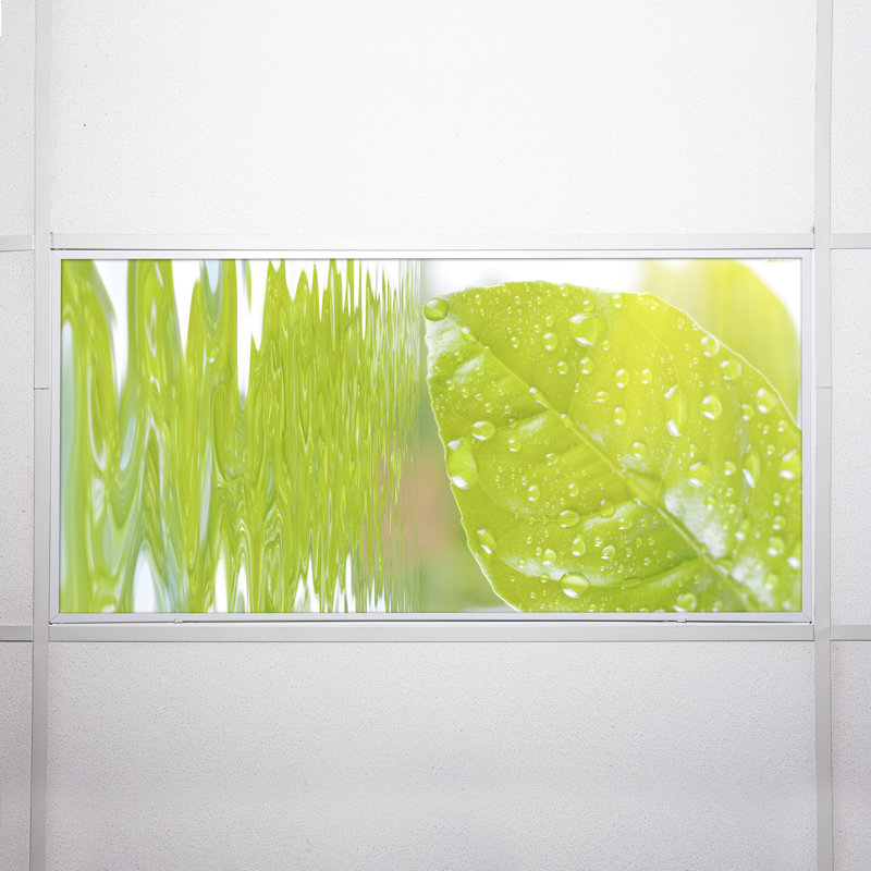 Couvre-lampes fluorescents Tree Classroom pour plafonniers - pour luminaire 2 x 4 - par Octo Lights