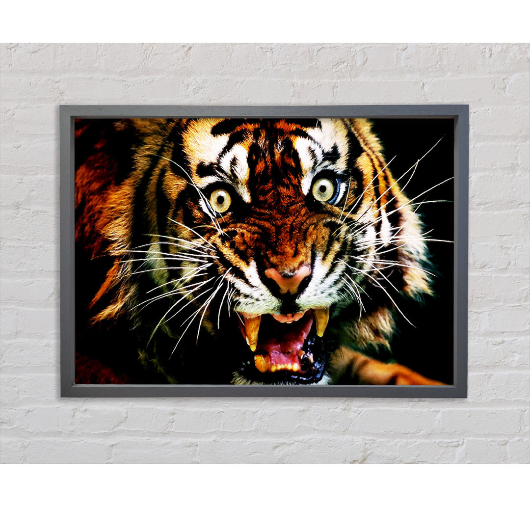 Tiger Roar - Einzelner Bilderrahmen Kunstdrucke auf Leinwand