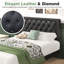Lit plateforme tapissier Ming-412969938