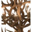 Rustic Lodge 12 - Light Chandelier