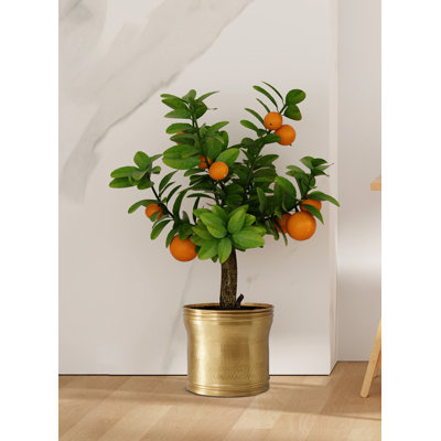 Pot à fleurs en aluminium martelé Rajani