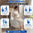 Breezebath ADA Smart Toilet with Built-In Tank, 1.06 GPF Auto Flush, Auto Open/Close Lid, Heated Bidet Seat, Warm Water Wash & Dryer, Remote Control