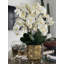 Orchid Floral Arrangement in Vase