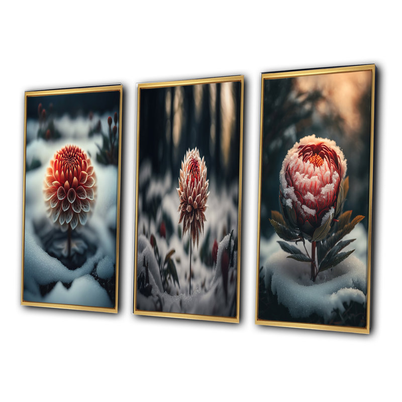 «A Blooming Red Dahlia Flower In Winter», 3 pièces sur toile, Or, H 20 po x l 36 po