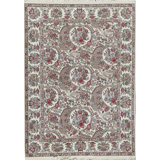 Wool Oriental Area Rug in Beige/Red