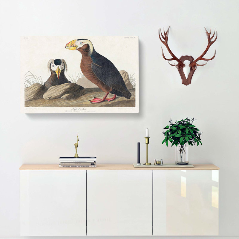 Tufted Puffin Bird by John Audubon - Wrapped Canvas Painting, 40cm H x 60cm W x 3cm D