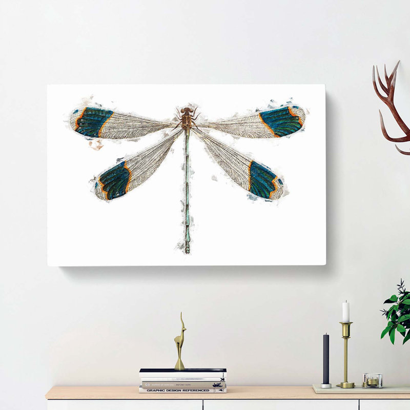 Blue-tipped Dragonfly by George Shaw - Wrapped Canvas, 40cm H x 60cm W x 3cm D