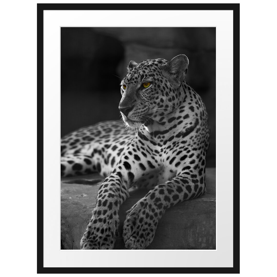 Gerahmtes Poster Leopard auf Felsen Liegend