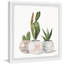 «Cactus Planters», reproduction encadrée-324442238