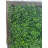 Cailey Foliage Wall Panel Privacy Screen