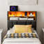 Tête de lit Wrought Studio™ pour lit simple avec rangement dissimulé et station de recharge, tête de lit ergonomique en lin rembourrée avec éclairage DEL, 2 prises électriques et 2 ports USB, cadre à fixer, montage facile, gris foncé-1968132210-2065405057