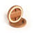 Bed Roller/Furniture Wheel Gripper Cup Coaster-13677685