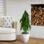 4Ft. Artificial Real Touch Down Swept Norfolk Pine Tree With Natural Look-17036511