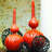 Magura Vase-24451084-24451086